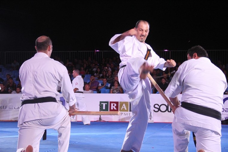 Martial Arts Festival